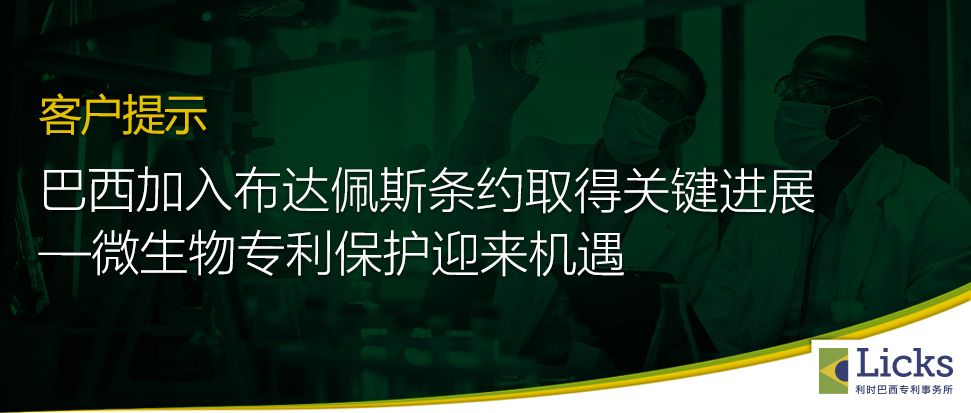 Imagem de capa da notícia 1